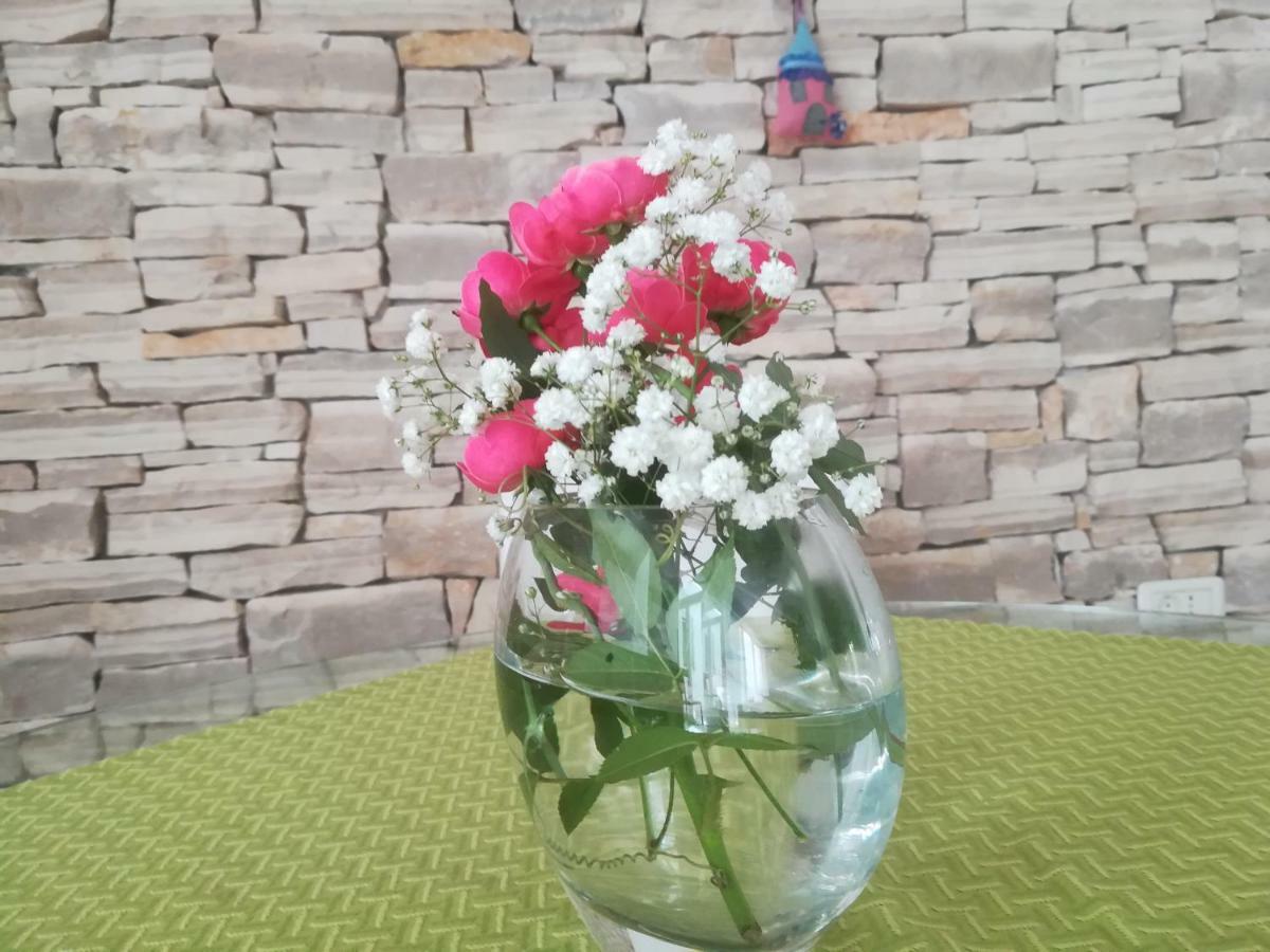 איזולה Apartma Zalka מראה חיצוני תמונה