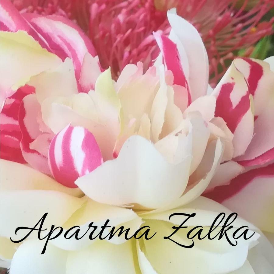 איזולה Apartma Zalka מראה חיצוני תמונה