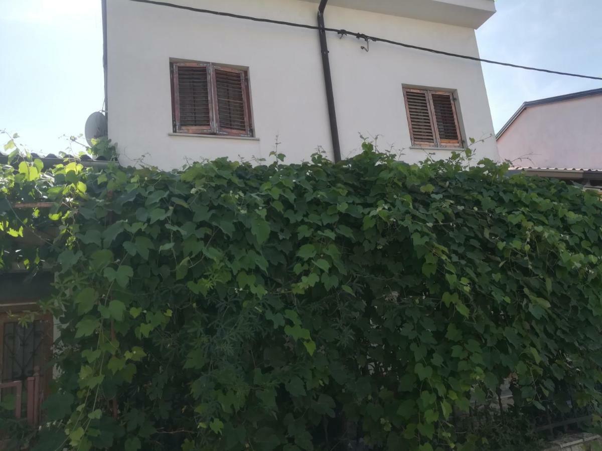 איזולה Apartma Zalka מראה חיצוני תמונה